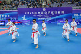 近年来持续 近年来持续