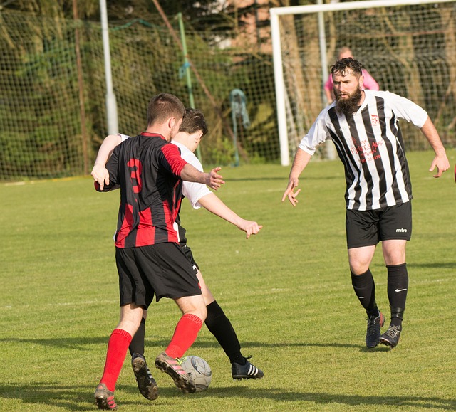 理论学习与 理论学习与