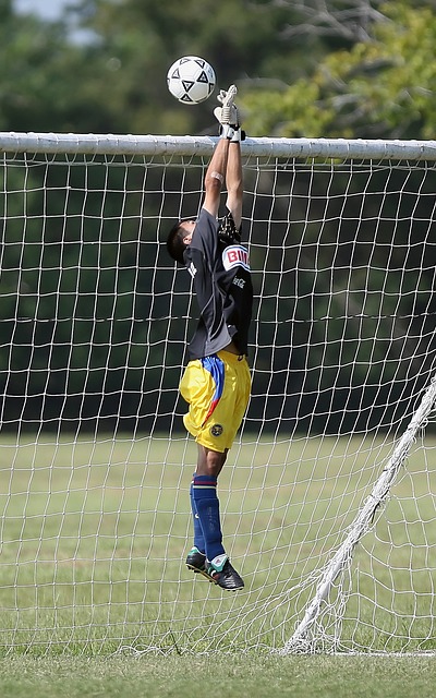 将成为赛季 将成为赛季